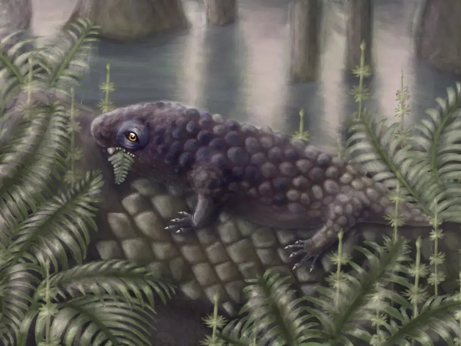 A Brand New Dinosaur Has Entered the Chat (Image Credits: Hannah Freed/Field Museum via AP)
