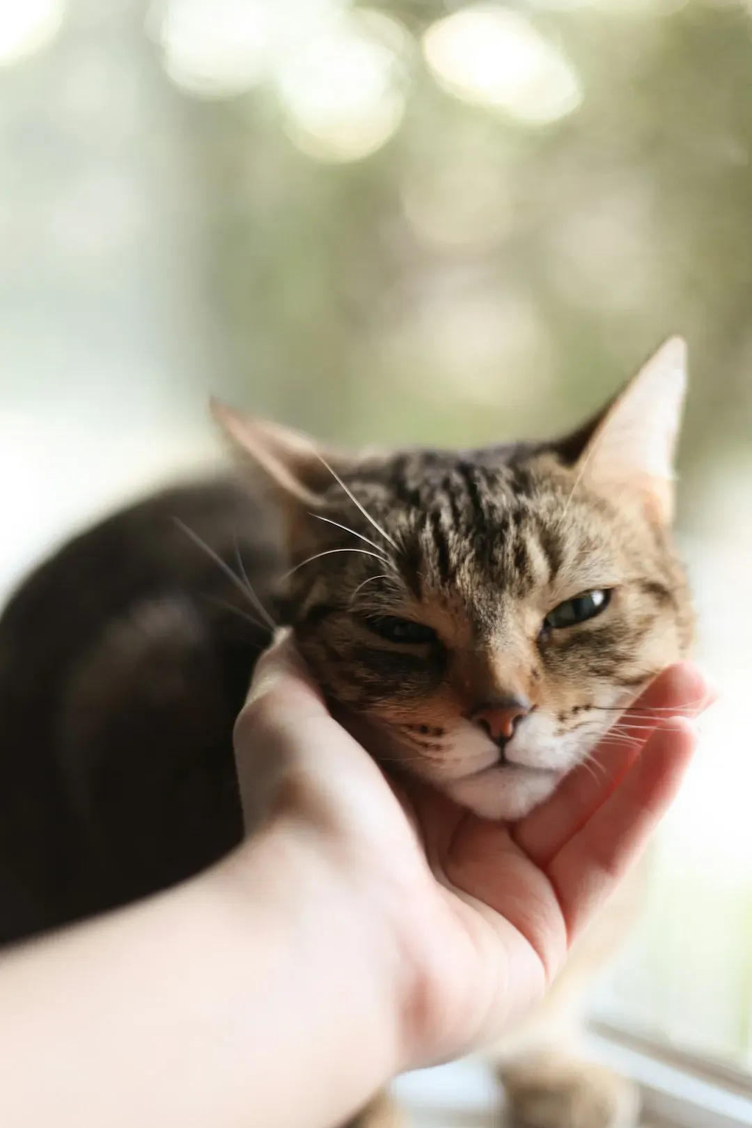 Stress and Anxiety Melt Away (Image Credits: Unsplash)