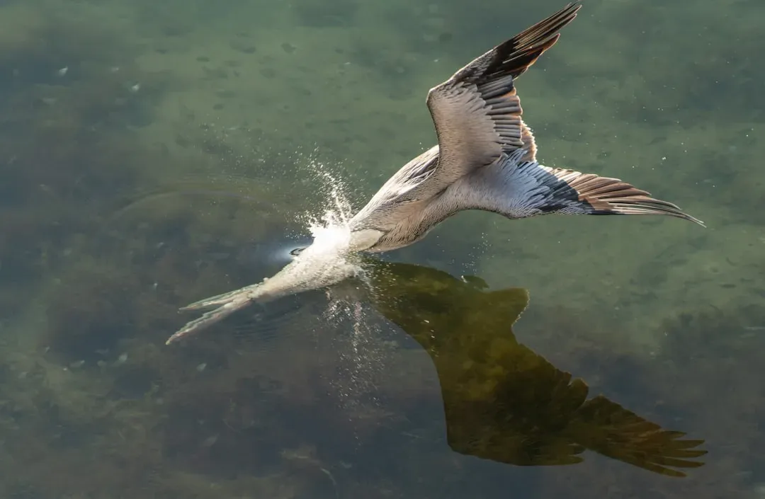 Fish Are the Key to Everything (Image Credits: Unsplash)