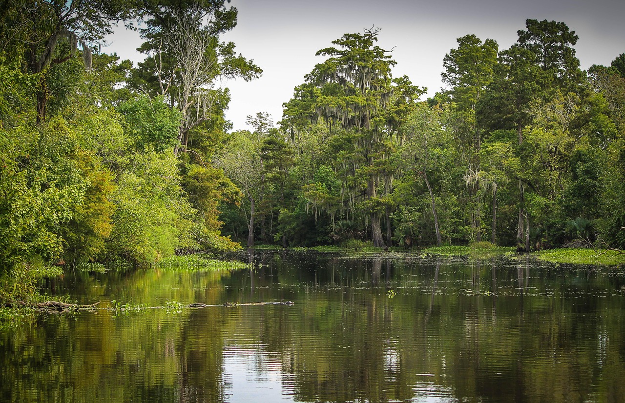 Louisiana: America's Vanishing Wetland Paradise (Image Credits: Pixabay)