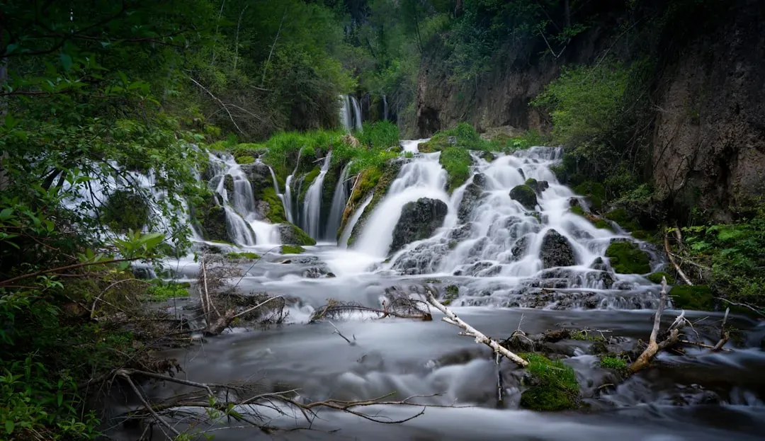 Spearfish Canyon Scenic Byway: Waterfalls in a Gorge (Image Credits: Unsplash)