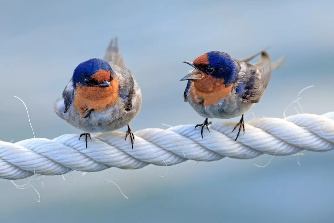 #10 - You're Seeing Young Birds Learning the Ropes in Your Yard (Image Credits: Unsplash)