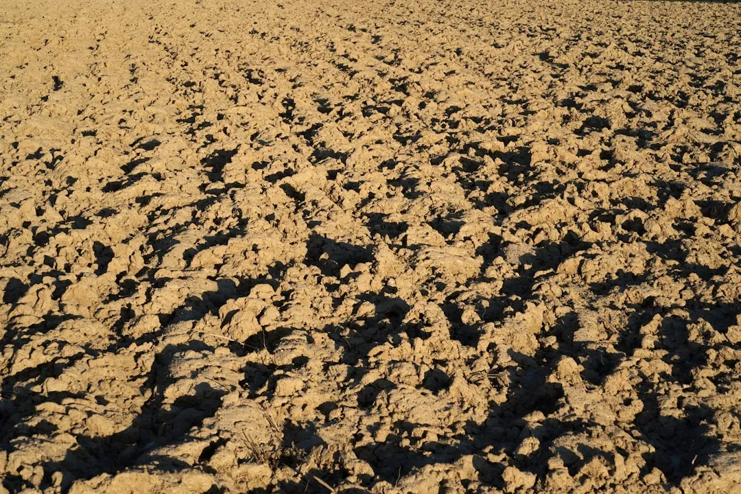 8. Protect Soil From Compaction (Image Credits: Unsplash)