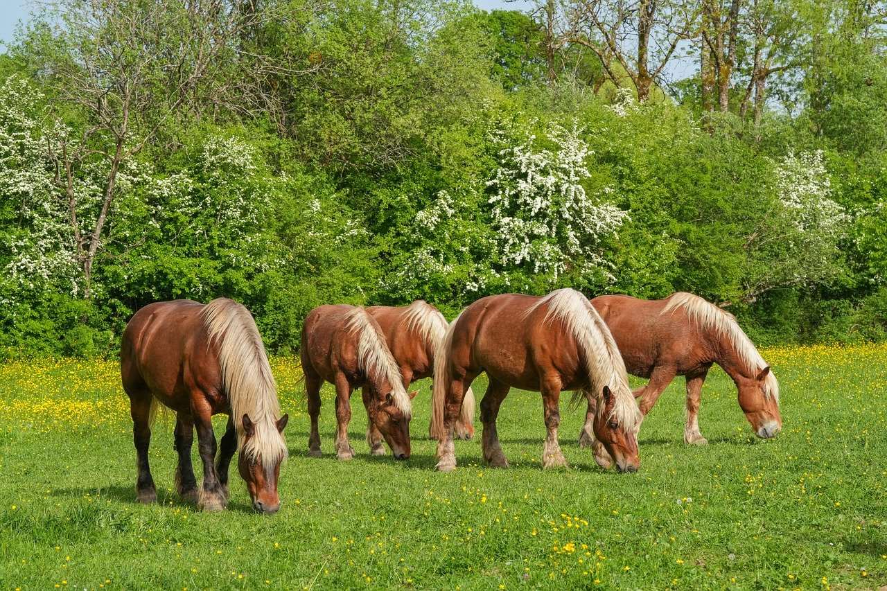 Libra: The Harmony-Seeking Herd Mediator (Image Credits: Pixabay)