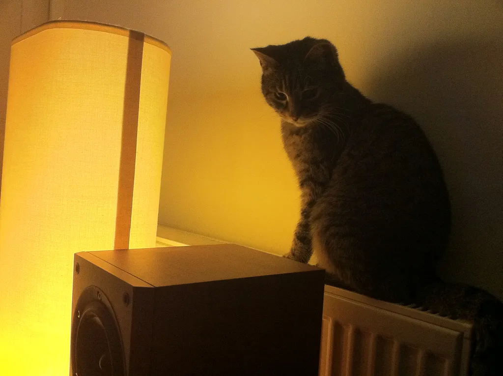 #6 - She Seeks Out Warm Spots - Aggressively (A warm spot, CC BY 2.0)