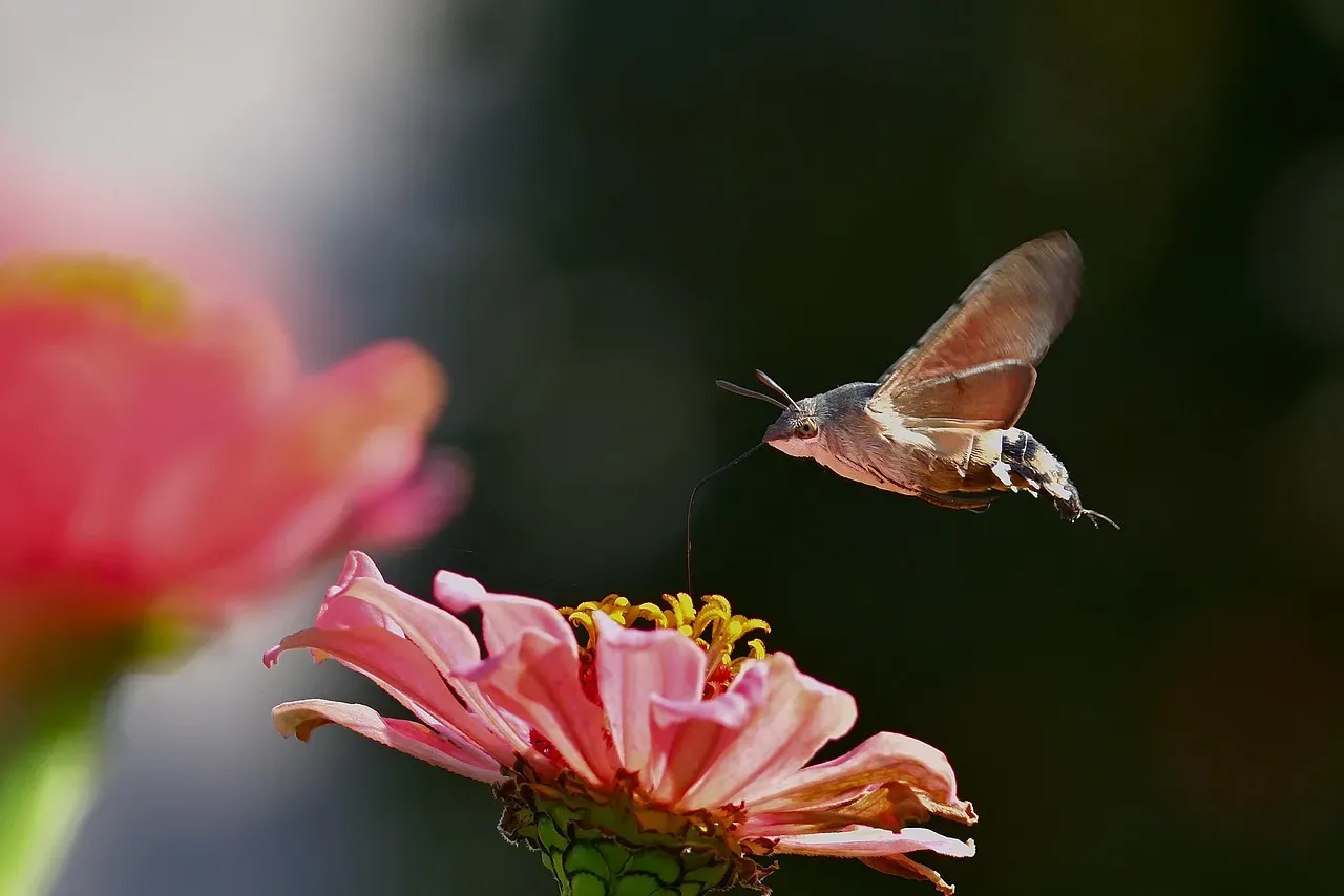 6  Avoid Pesticides and Herbicides (Image Credits: Pixabay)