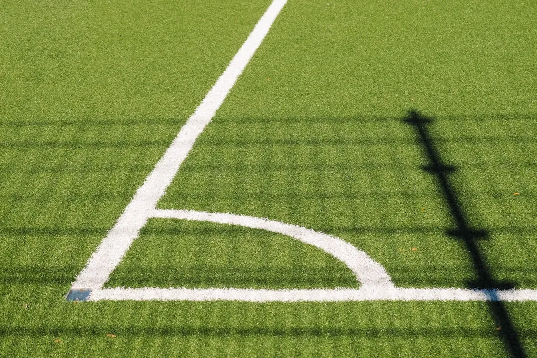 9. Installing Artificial Turf (Image Credits: Unsplash)