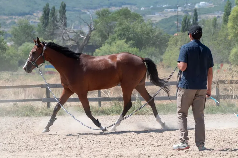 #1 – Buying the Wrong Horse for the Owner's Skill Level (Image Credits: Pexels)