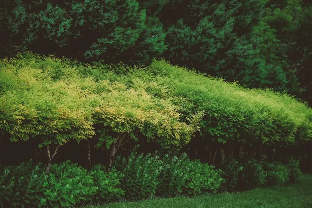 Create Layered Shelter With Trees and Shrubs (Image Credits: Unsplash)