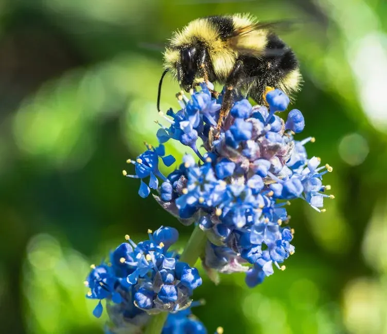 The Backbone of Our Food Supply (Image Credits: Pexels)
