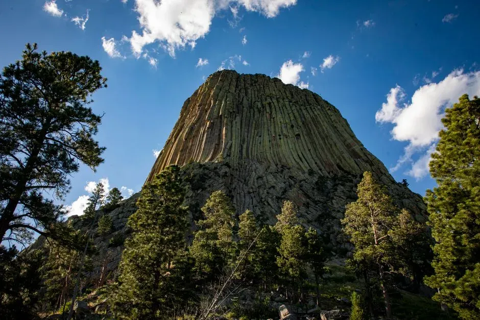 Devils Postpile in California (Image Credits: Pexels)