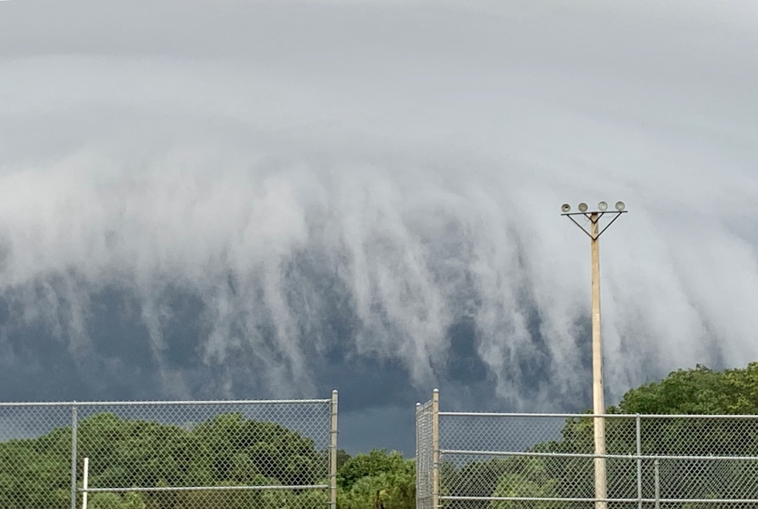 Florida: The Unexpected Contender (Image Credits: Unsplash)