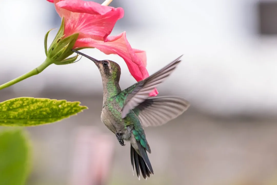 #17 - Flower Shape: Not All Blooms Are Worth the Effort (Image Credits: Unsplash)