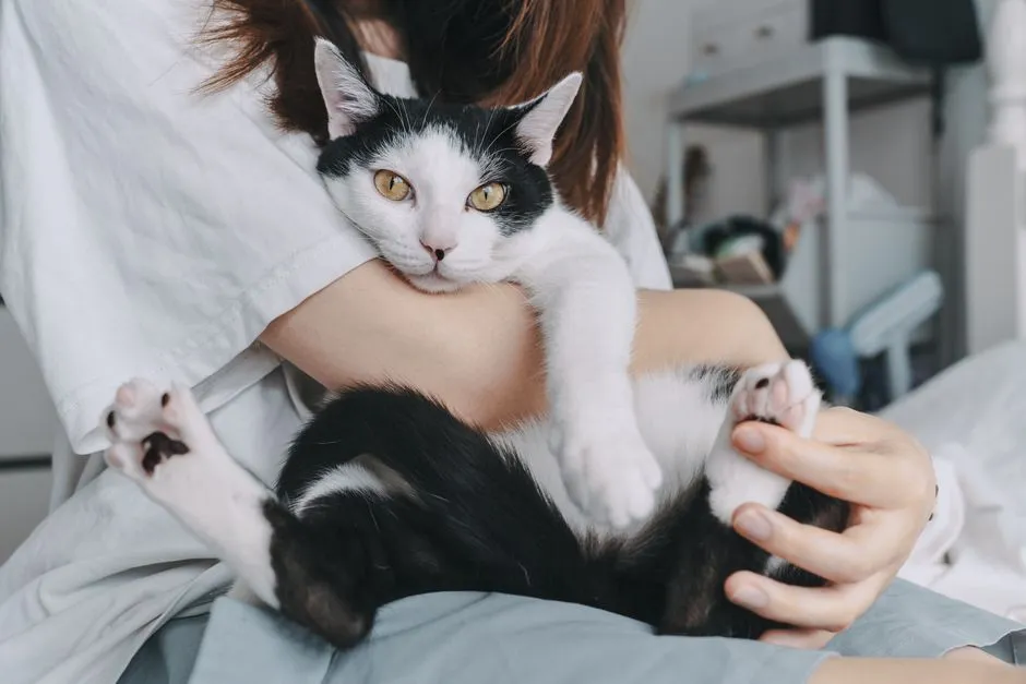 #8: They Become Clingy in a Way They Never Were Before (Image Credits: Pexels)