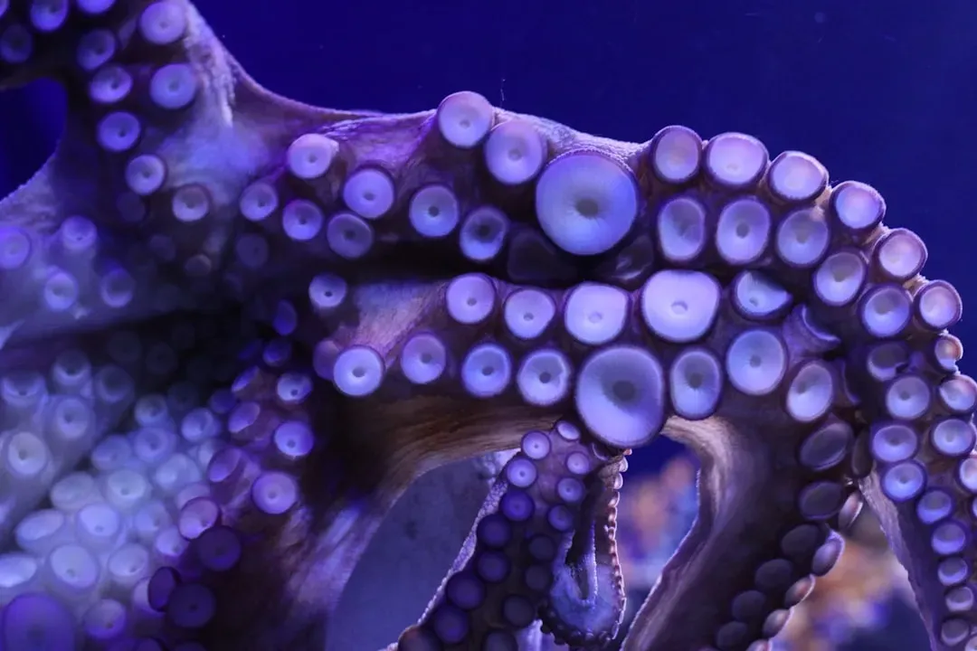 A Brain Unlike Anything Else on Earth (Image Credits: Unsplash)