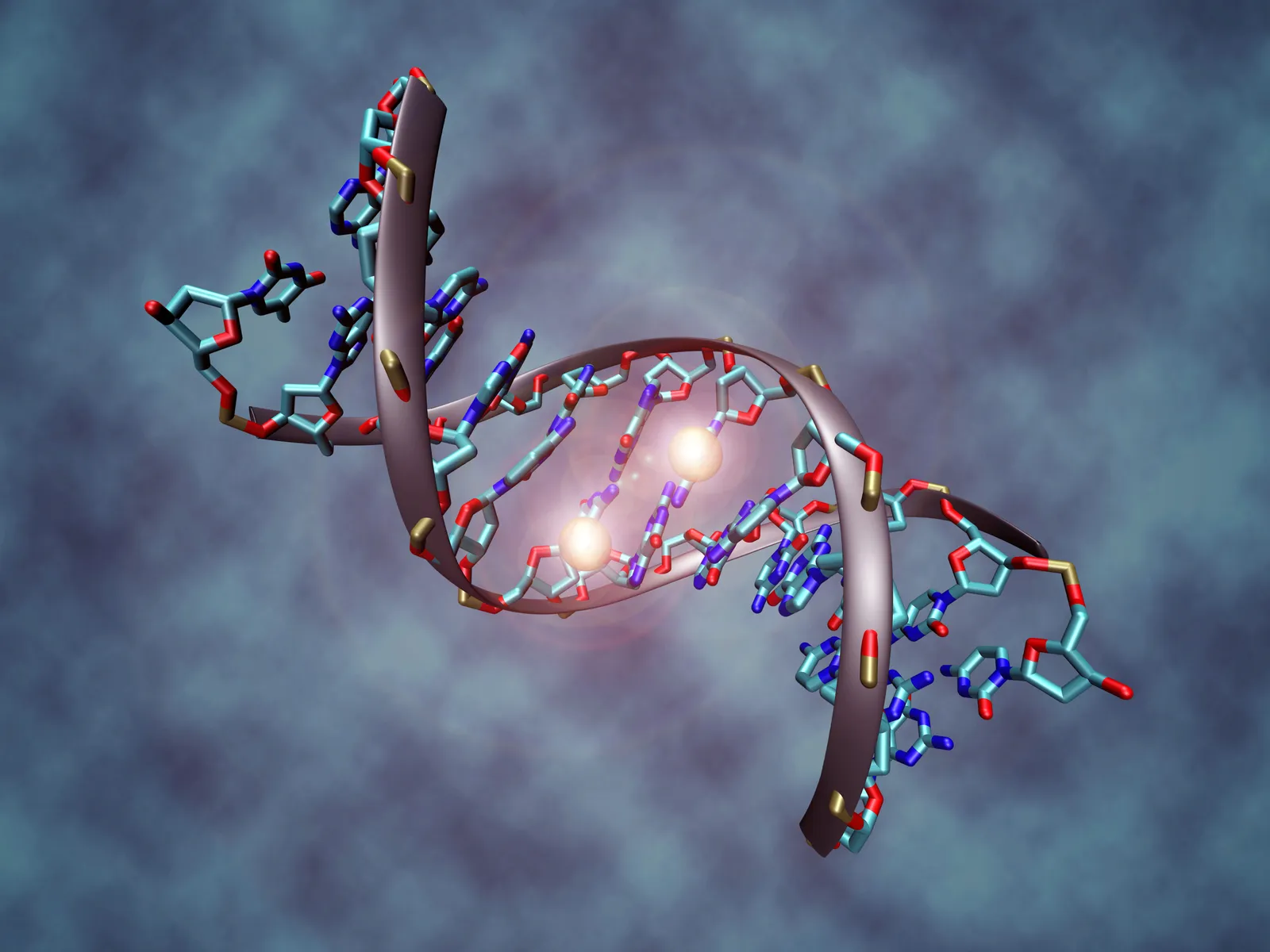 3. Epigenetics: The Switchboard That Turns Genes Up Or Down (By Christoph Bock, Max Planck Institute for Informatics, CC BY-SA 3.0)