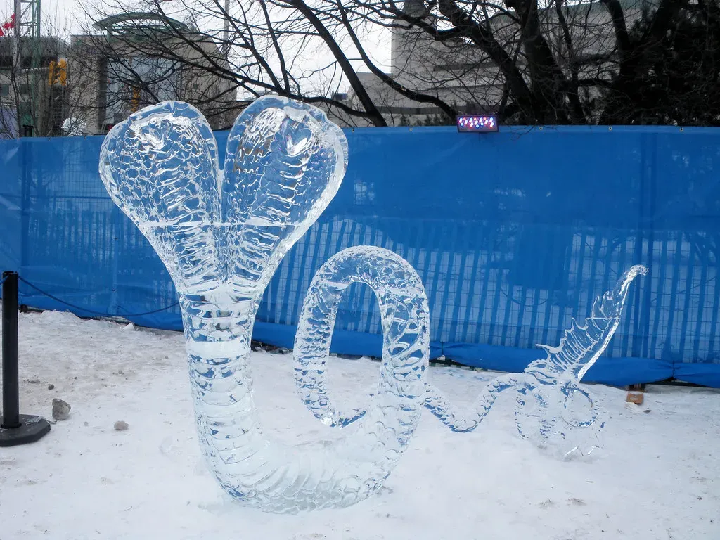 Gemini: The Dual-Headed Serpent (Image Credits: Flickr)