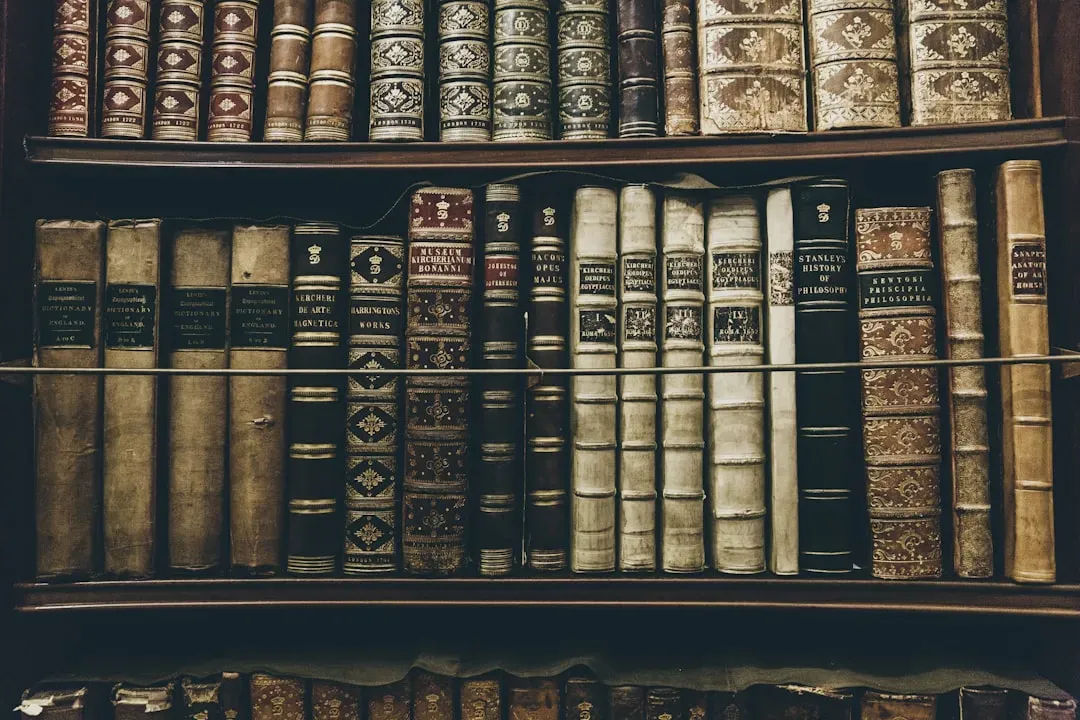 Curiosity as a Coping Response (Image Credits: Unsplash)