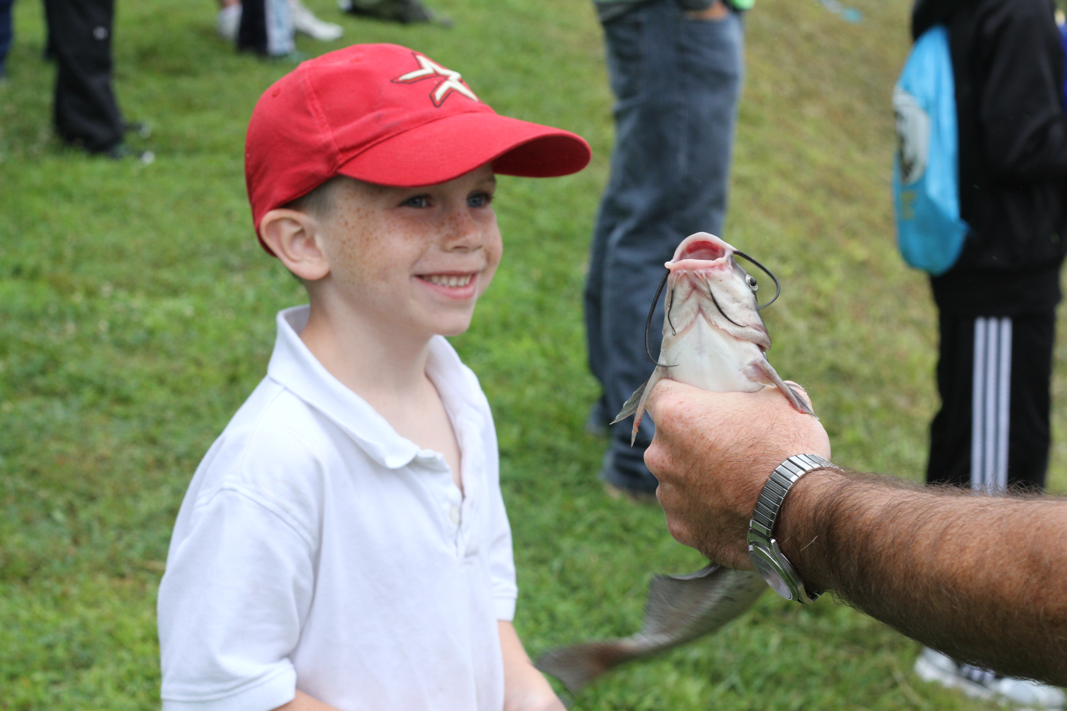 The Classroom Cage Versus Natural Habitat Learning (Image Credits: Wikimedia)