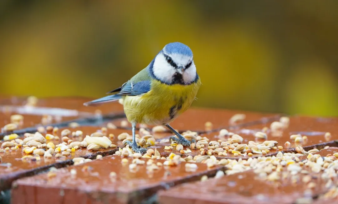 1. Regurgitating Food as a Token of Devotion (Image Credits: Unsplash)