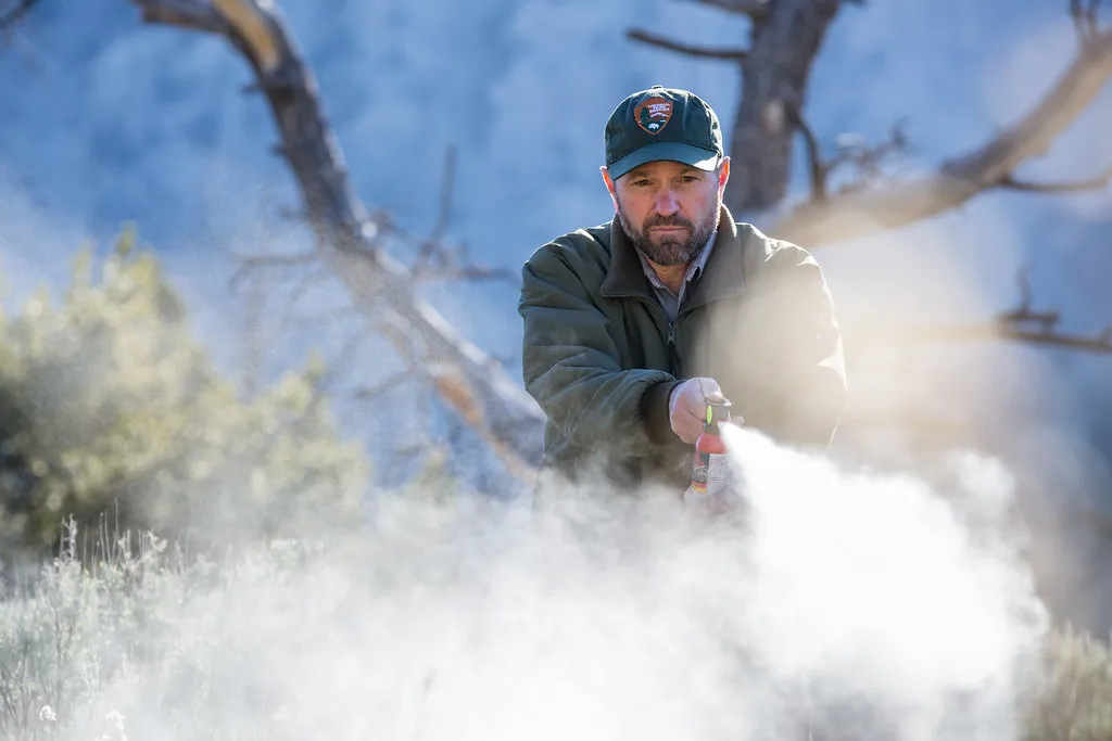 Mistake 6: Failing to Use Bear Spray Correctly (or Not Having It Ready) (Image Credits: Flickr)