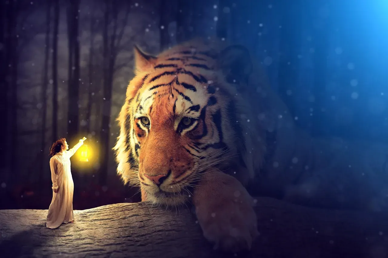 10. Their Night Vision Is Extraordinary (Image Credits: Pixabay)
