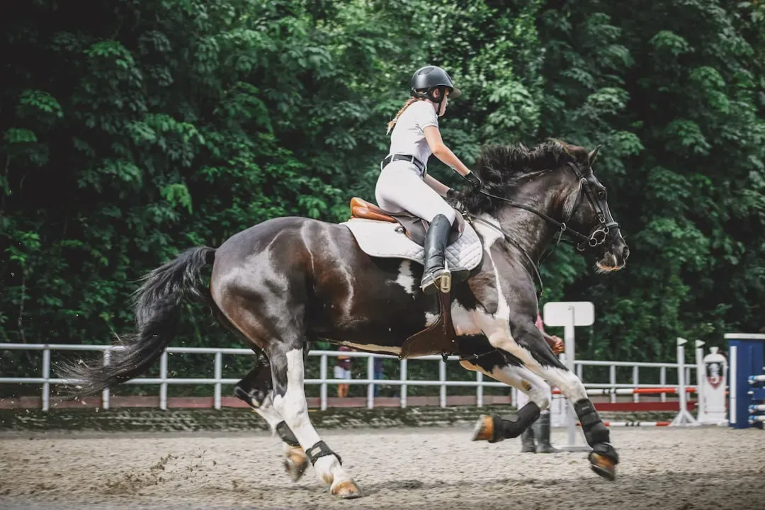 #4 - The Question About Rider Skill Match (Image Credits: Unsplash)