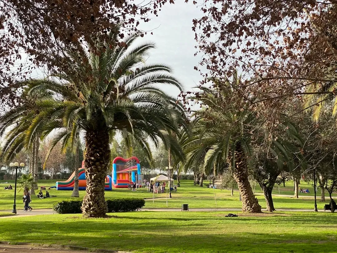 Irvine, California (Image Credits: Unsplash)