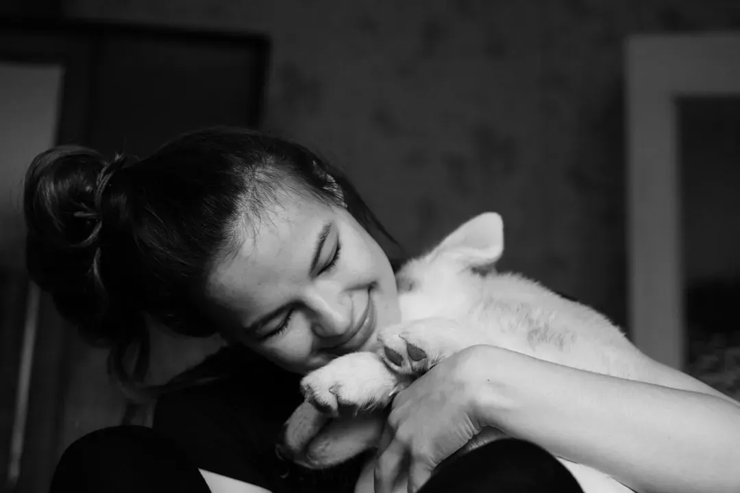 They Turn to You When Scared or Uncertain (Image Credits: Unsplash)