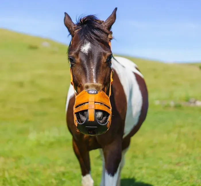 14. A Tight, Pinched Muzzle (Image Credits: Pexels)