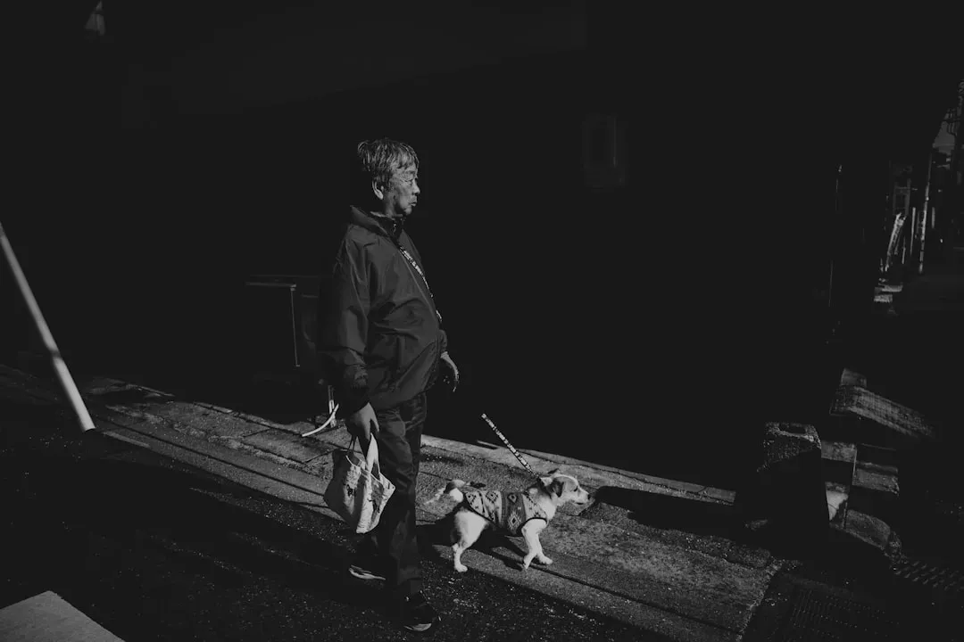Interpreting the Timing of the Behavior (Image Credits: Unsplash)