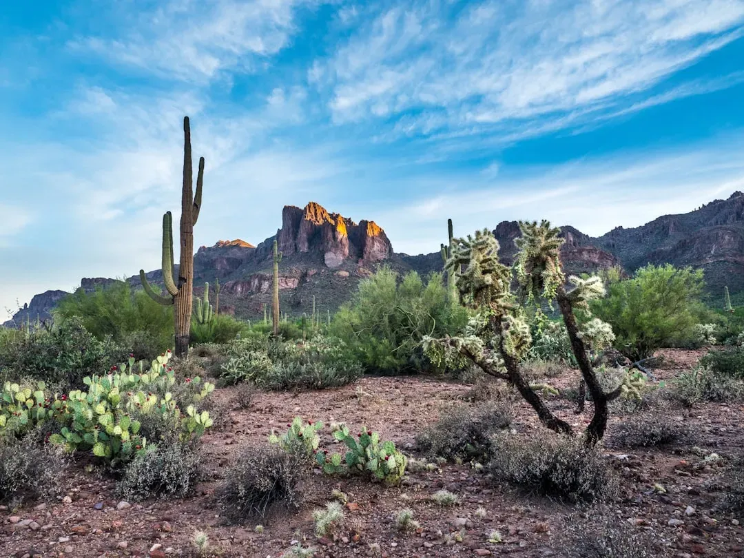 Conservation Pressures: When Resilience Has Its Limits (Image Credits: Unsplash)