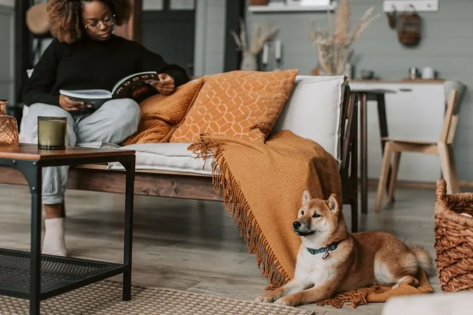 Settling Near Personal Items (Image Credits: Pexels)