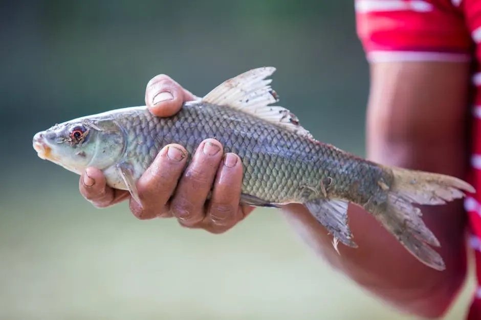 The Science Behind the Question: What We Now Know About Fish and Pain (Image Credits: Pexels)