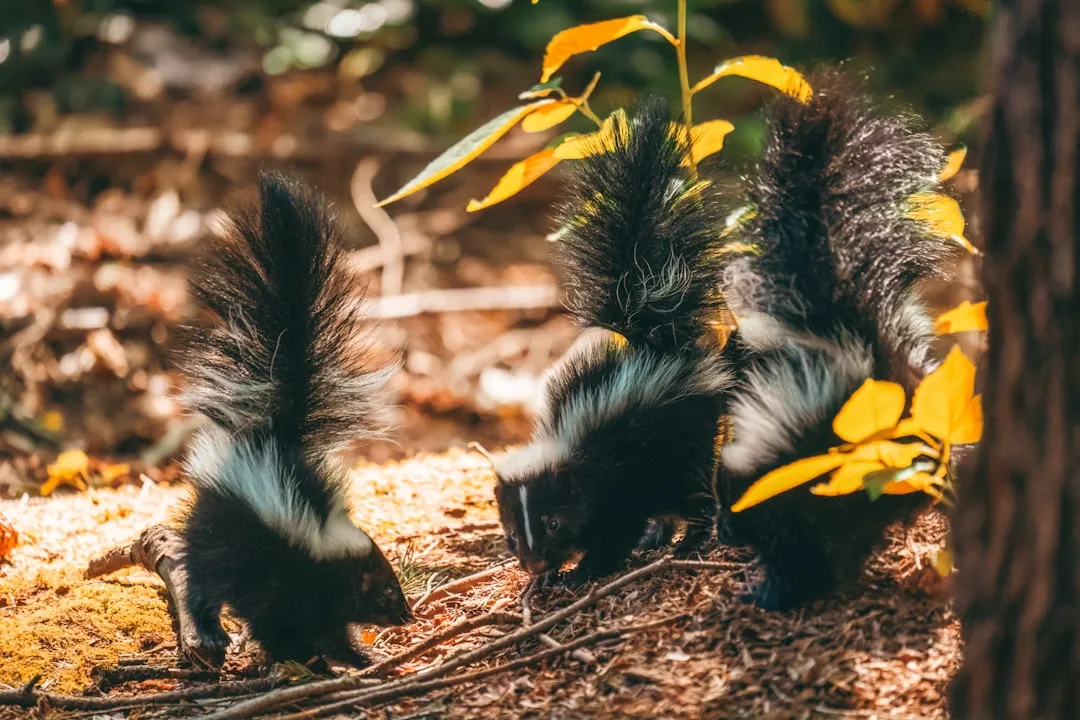 5. Stamping Their Front Feet In Warning (Image Credits: Unsplash)