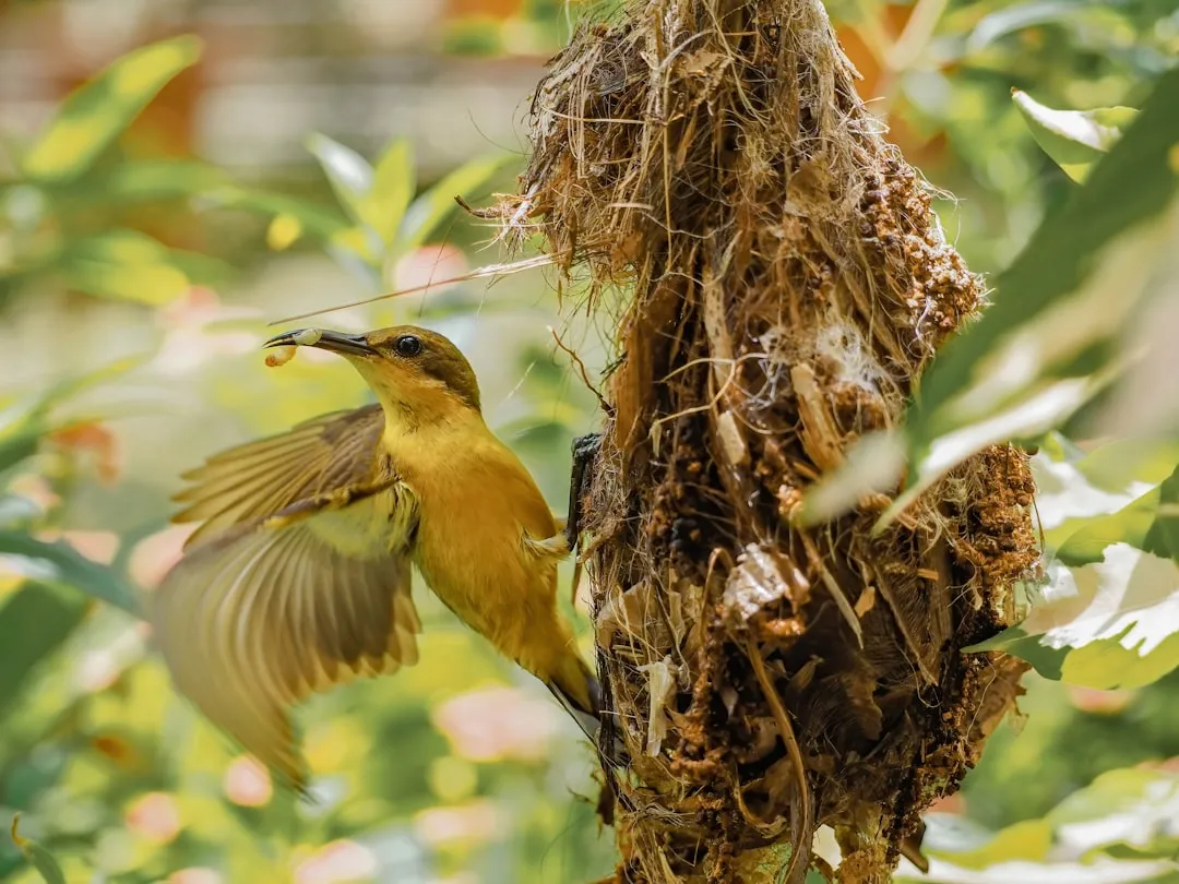 #5: Plant for Early Spring Insects, Not Just Fall Color (Image Credits: Unsplash)