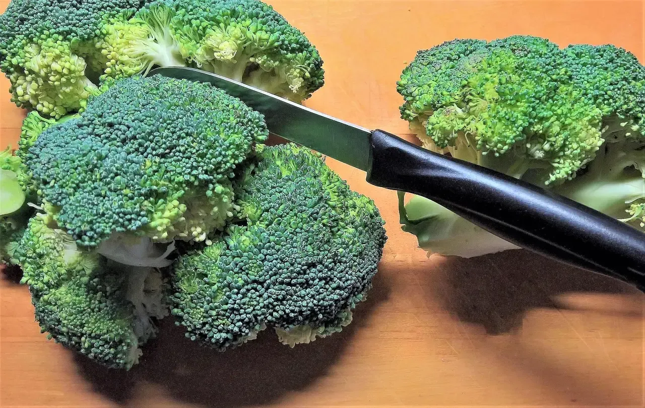 Broccoli for Vitamin Boost (Image Credits: Pixabay)