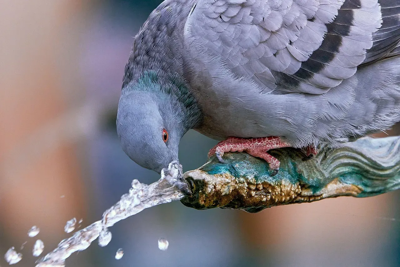 Exploiting the Urban Heat Island Effect (Image Credits: Pixabay)
