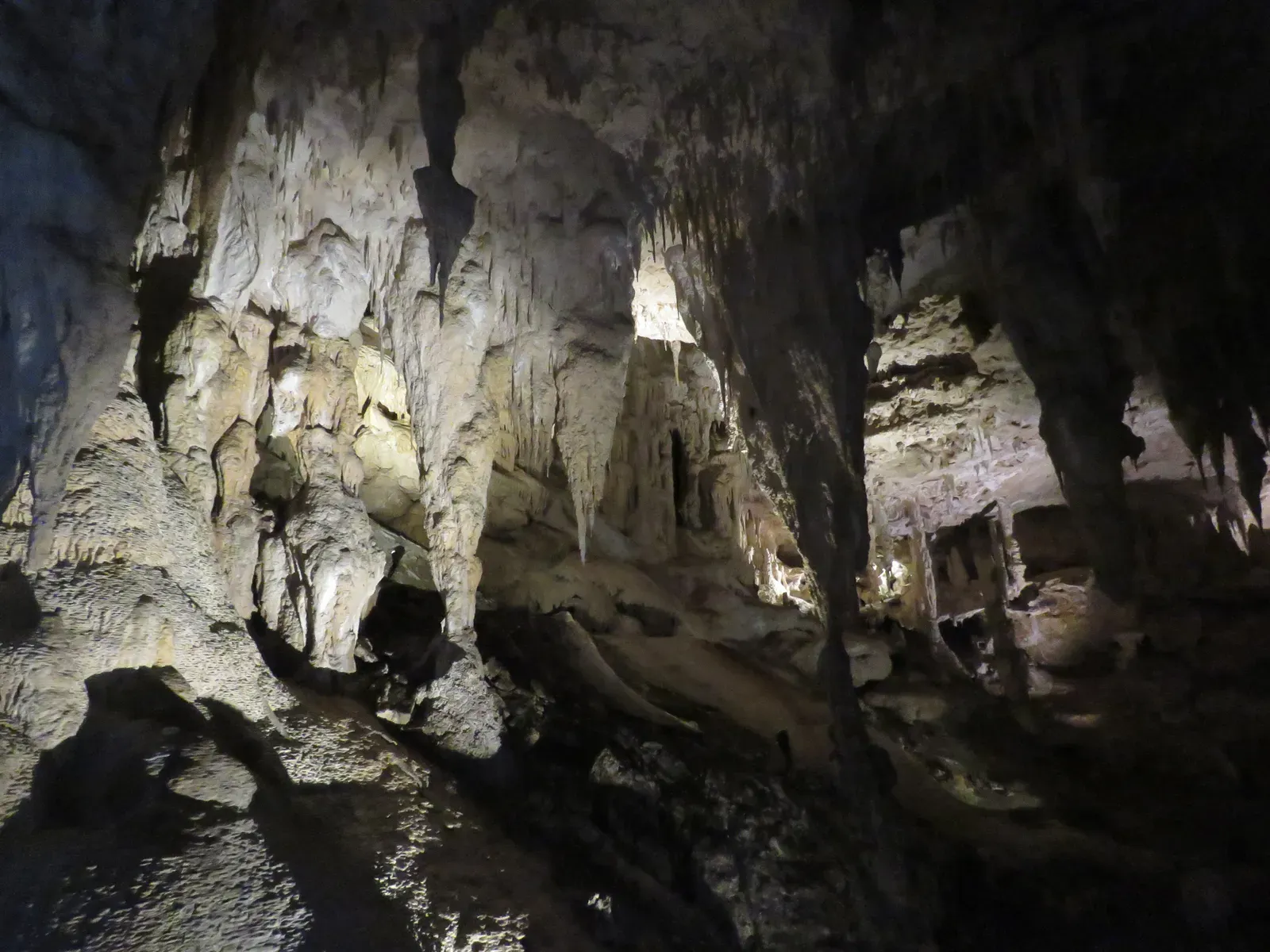 Mammoth Cave's Underground Labyrinth (Image Credits: Wikimedia)