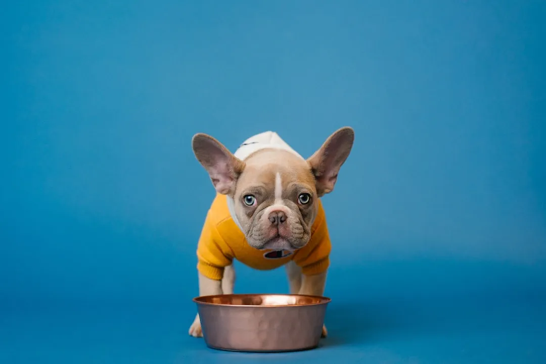 #2 - Food Stops Being Routine and Becomes a Test (Image Credits: Unsplash)