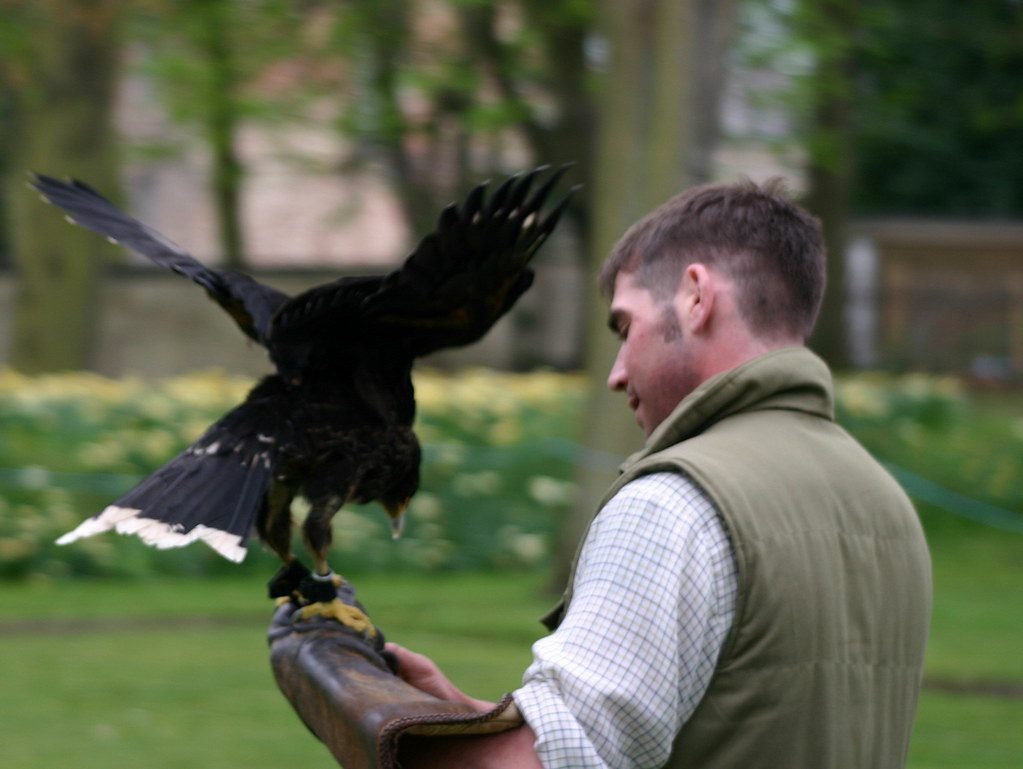 The Training Process and Building Trust (Image Credits: Flickr)