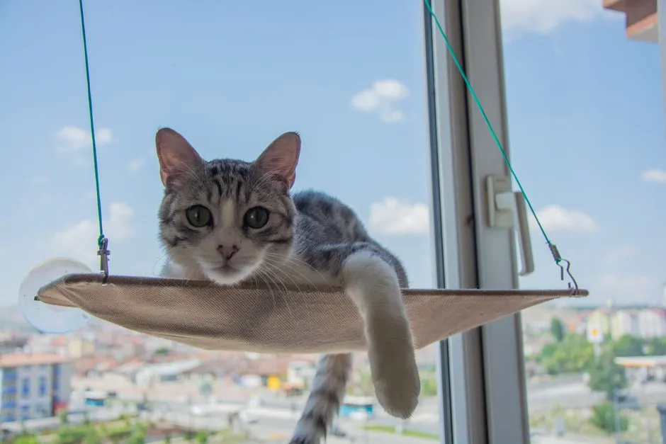 #9 - They Start Claiming the High Ground (Image Credits: Pexels)