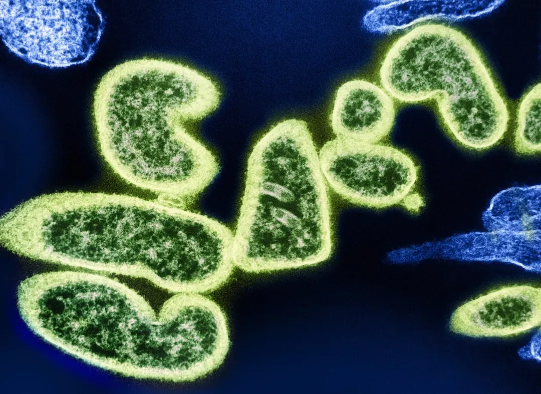 Microbes as Solutions: Bioremediation and the Road Ahead (Image Credits: Unsplash)