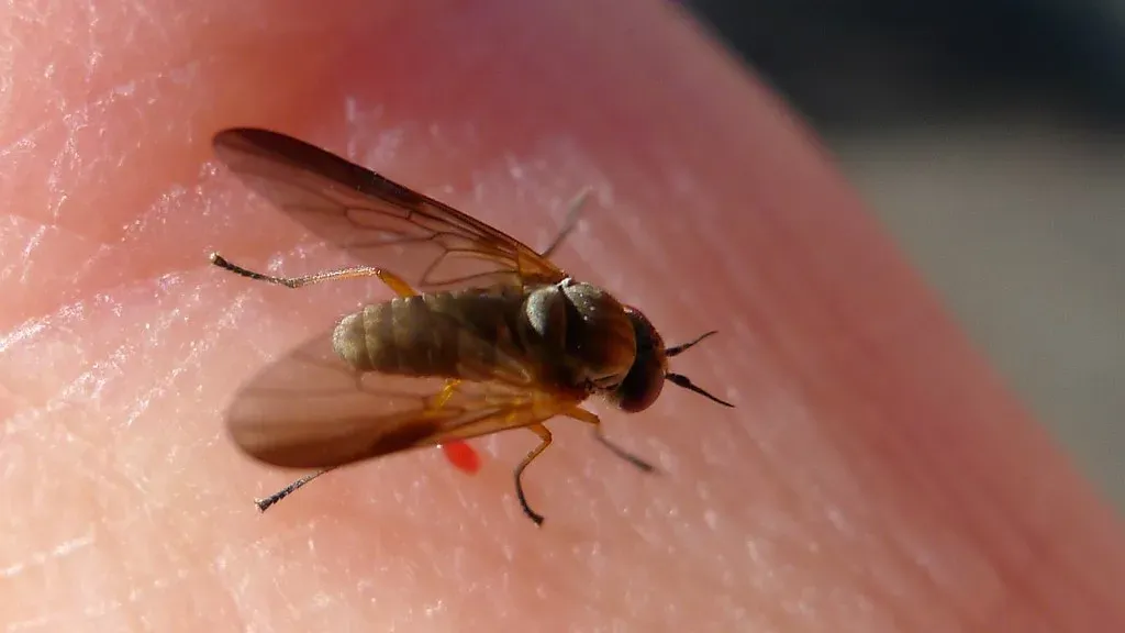 The Takeaway: Nature's Nose Knows Best (John Tann, Flickr, CC BY 2.0)