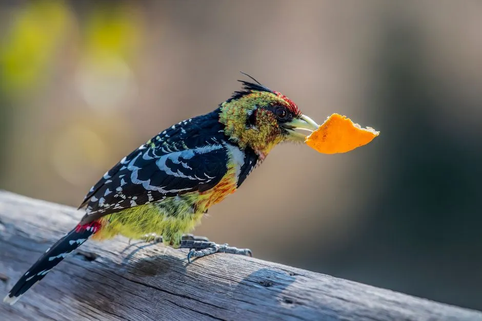 #8 - Dropping Food or Shells Near You Without Fleeing (Image Credits: Pexels)