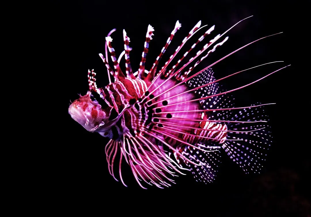 5. Lionfish (Image Credits: Unsplash)