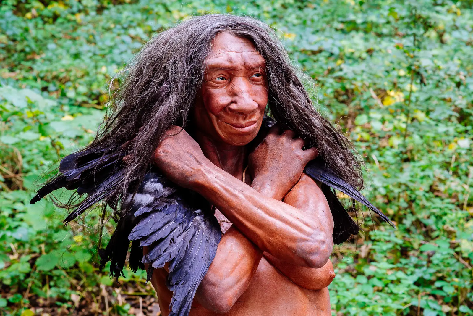 9. Interbreeding Was The Rule, Not The Exception (By Neanderthal-Museum, Mettmann, CC BY-SA 4.0)