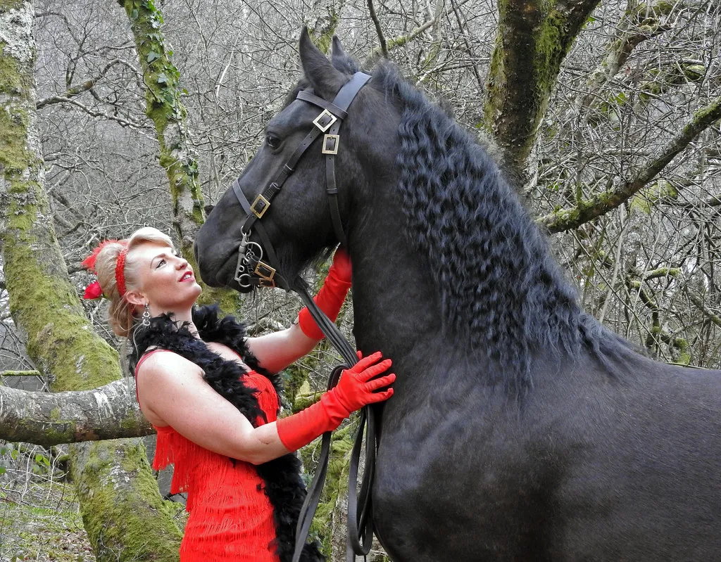 #1 - The Horse Watches You Before You Ever Step In (ohefin, Flickr, CC BY-SA 2.0)