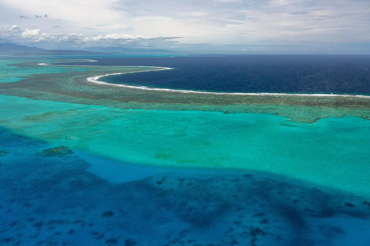 #2 – Great Barrier Reef Outposts: Lady Elliot Island's Secret (Image Credits: Pixabay)
