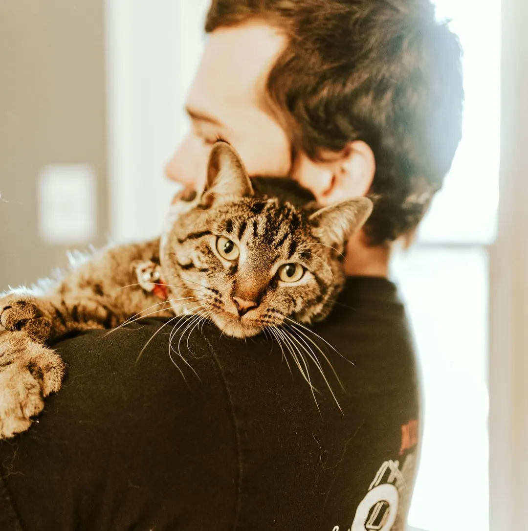 #4 - Sudden Clinginess Is Often a Vision Problem (Image Credits: Unsplash)